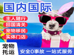 南宁吴圩航空物流国际宠物托运 【国